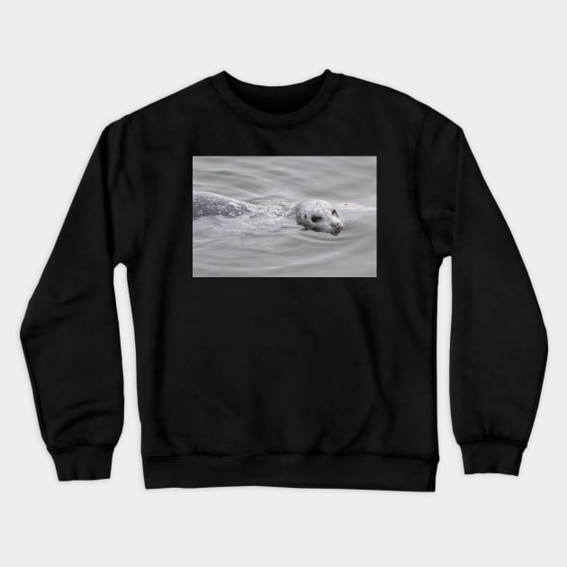 Cheeky Harbor Seal Winks at the Photographer Crewneck Sweatshirt by walkswithnature